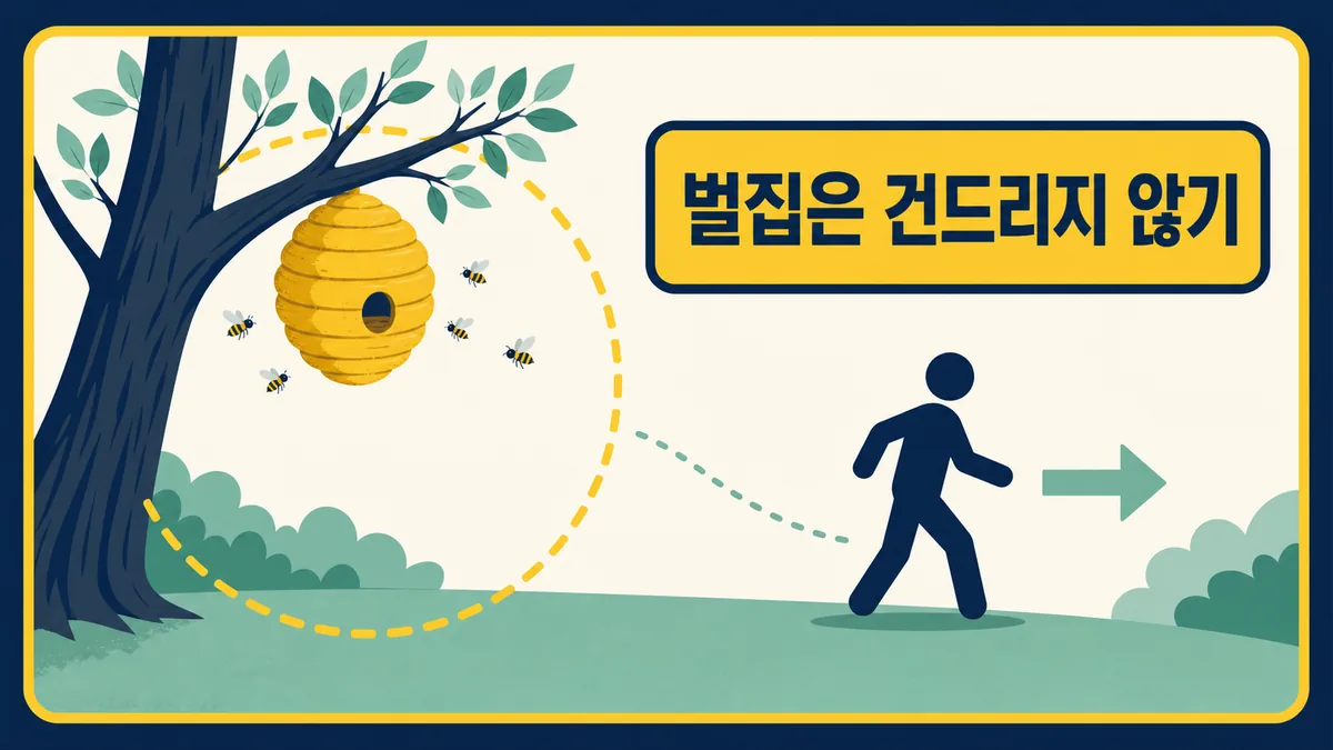 야외 벌집에서 안전거리를 두고 직접 제거하지 않는 벌 쏘임 예방 행동